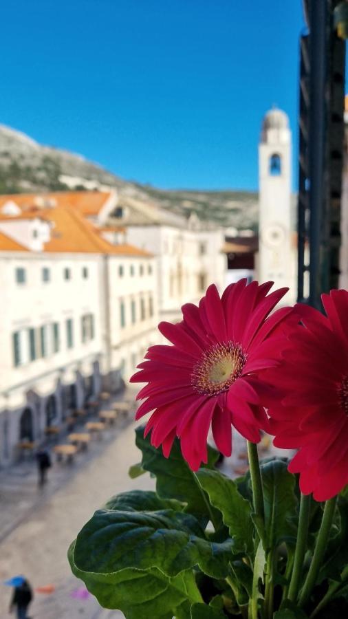 Apartment Stradun In The Heart Of Old City دوبروفينك المظهر الخارجي الصورة