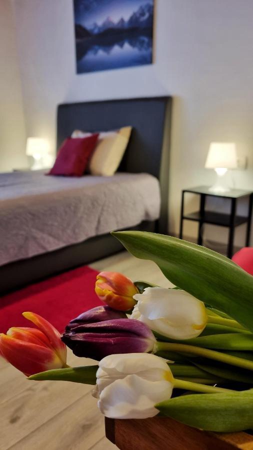 Apartment Stradun In The Heart Of Old City دوبروفينك المظهر الخارجي الصورة